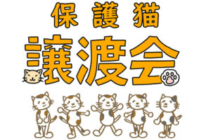 保護猫譲渡会開催のお知らせ